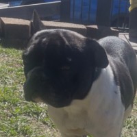 Photo of Macey