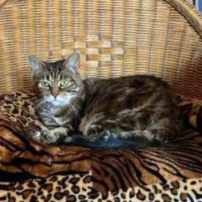 Photo of Dasha   Located In Northcote