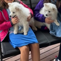 Photo of Cotton & Cloud