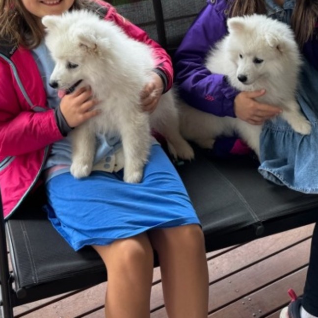 Photo of Cotton & Cloud