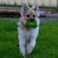 Photo of ☀️ Sonny ☀️