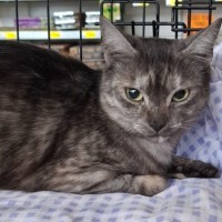 Photo of Truffles
