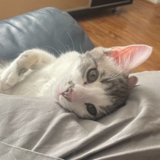 Photo of Oliver