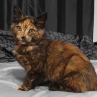 Photo of Blanch 🌸