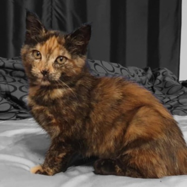 Photo of Blanch 🌸