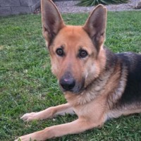 Photo of Lucy