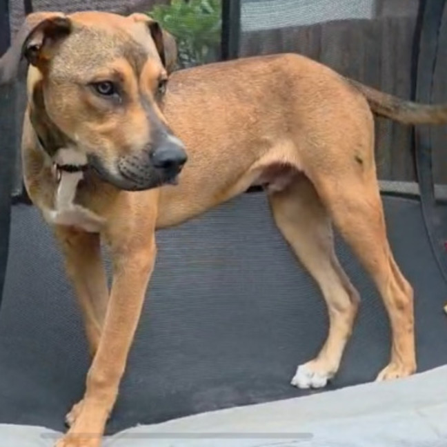 Photo of Barnie   Swarley 