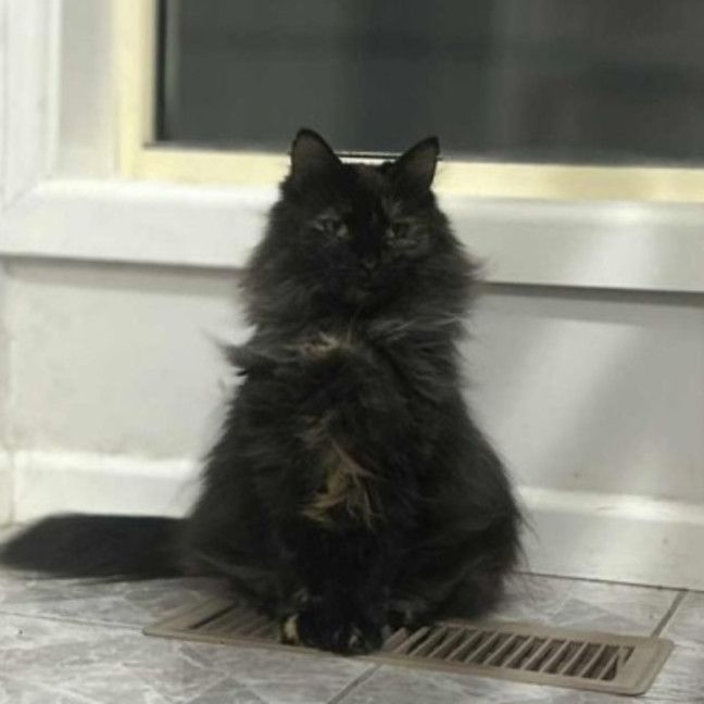 Photo of Mariska And Antoni ❣️❣️