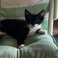 Photo of Batman