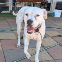 Photo of Luna