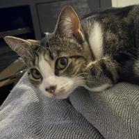 Photo of Asher