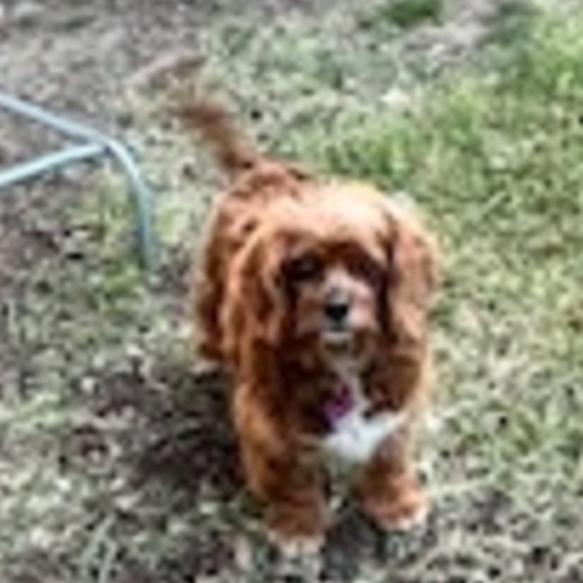 Photo of Meg
