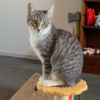 Photo of Diana   Loves Affection