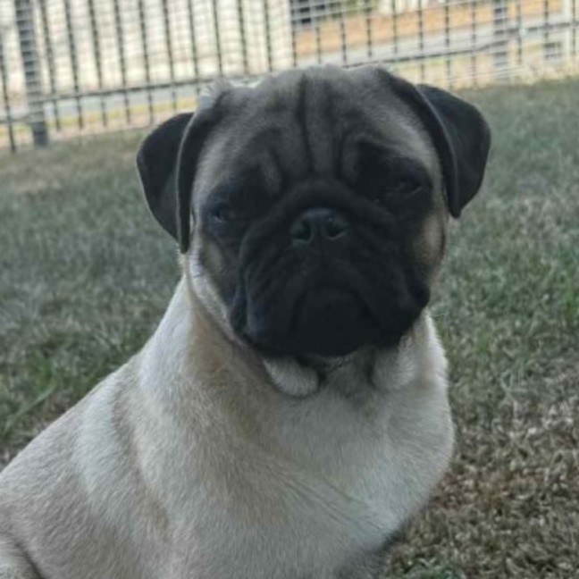Photo of Bruce