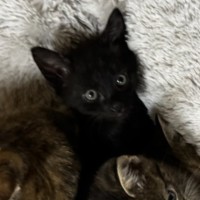 Photo of Edmund