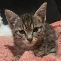 Photo of Matilda