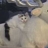 Photo of Hugo
