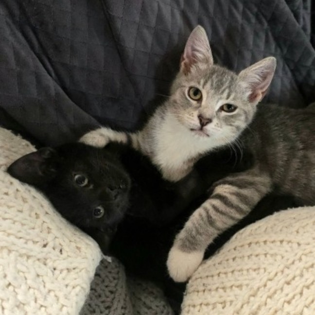 Photo of Emine & Earl