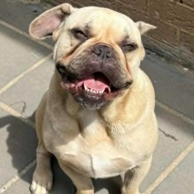 Photo of Milko