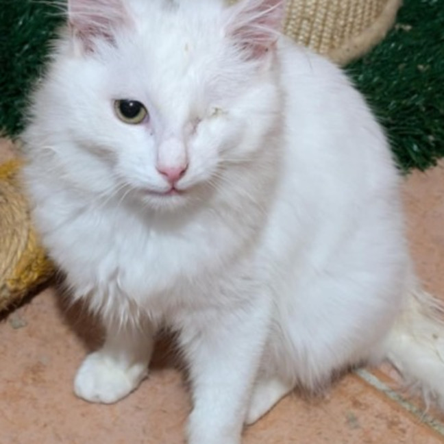Photo of Brian
