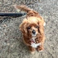 Photo of Meg