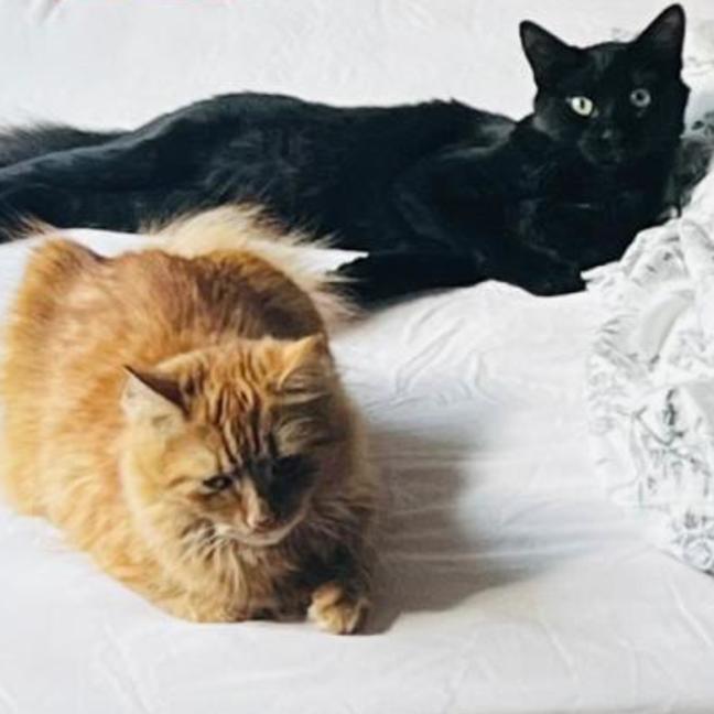 Photo of Genevieve & River