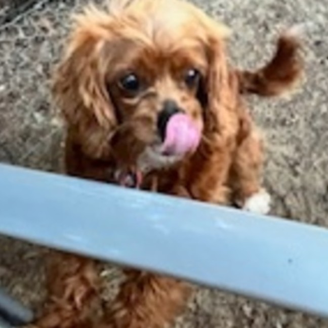Photo of Meg