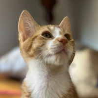 Photo of Reno