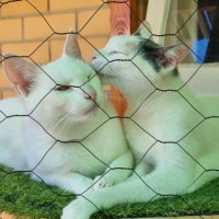 Photo of Louis And Hermione