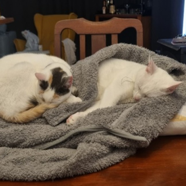 Photo of Louis And Hermione