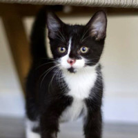 Photo of 💚 Louie 💚