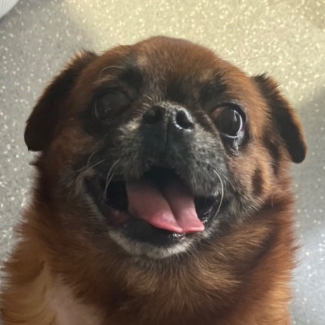 Photo of Arthur