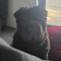 Photo of Bjorn