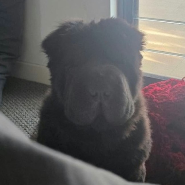 Photo of Bjorn