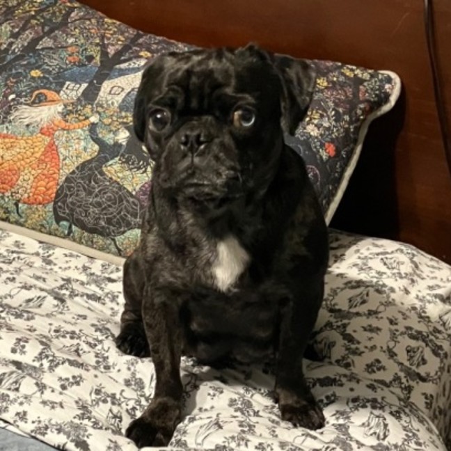 Photo of Opal