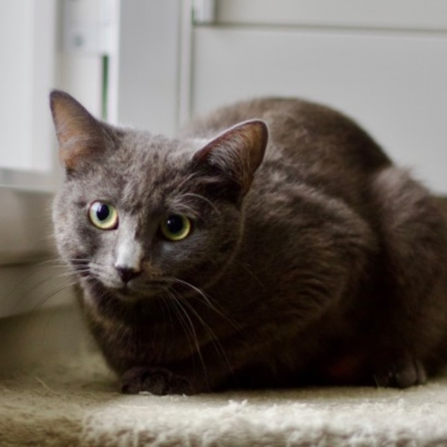 Photo of 💟 Silvee 💟