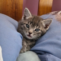 Photo of Tyrone