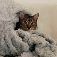 Photo of Nellie