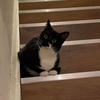 Photo of Cha Cha And Mia