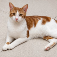 Photo of Prada