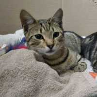 Photo of Ashley, Milo, Teddy