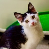 Photo of 🐭 Mickey 🐭