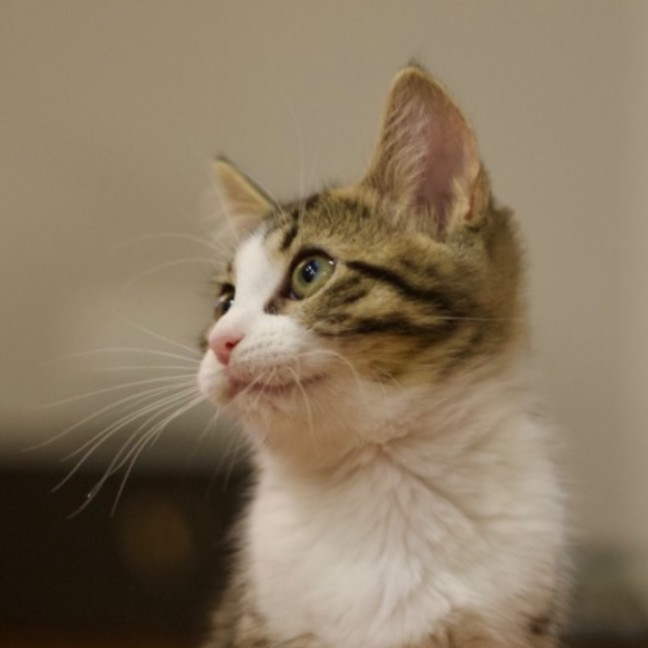 Photo of 💟 Mabel 💟