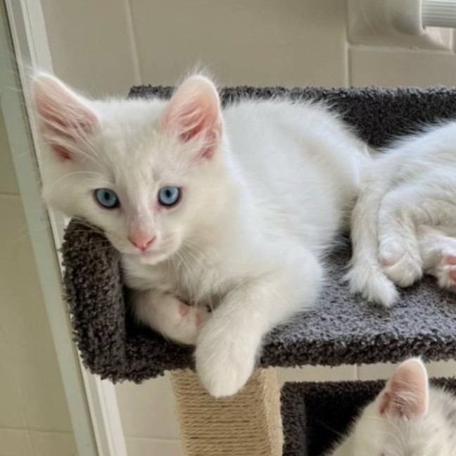 Photo of ❄️snowy ❄️