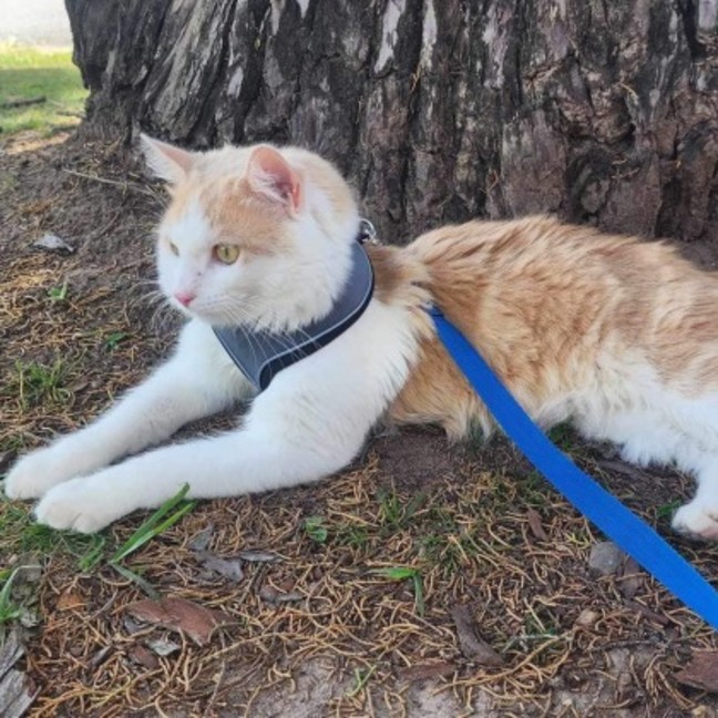 Photo of Doug