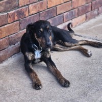 Photo of Maxy