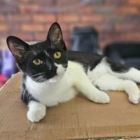 Photo of Milly