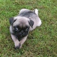 Photo of Harold