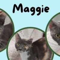 Photo of Maggie