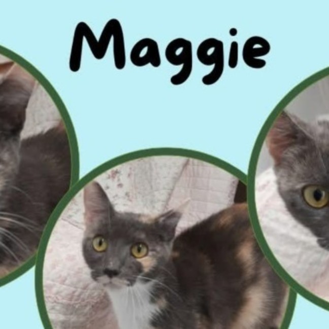 Photo of Maggie